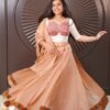 Jagruti Website 05-05 Earthy Pastel Pink Chaniya Choli Set