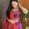 Rasin Patola Patch Work Chaniya Choli